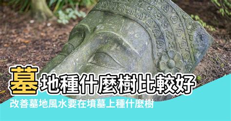 農曆 日曆 墓地種樹